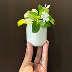 Textured Finish Mini Metal Flower Vase Set of 4 | Small Decorative Table Vases for Home Decor, Living Room, Office Desk & Shelf Styling