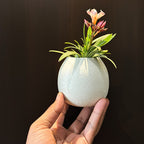 Textured Finish Mini Metal Flower Vase Set of 4 | Small Decorative Table Vases for Home Decor, Living Room, Office Desk & Shelf Styling